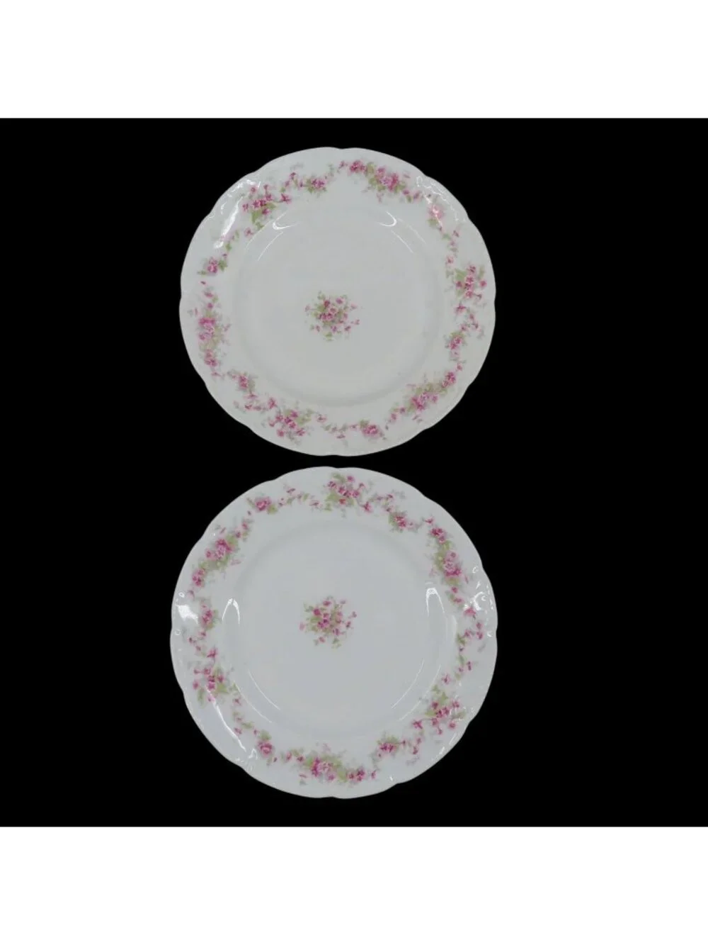 VTG Bassett Limoges 2 Plates 9.6in Pink Floral Flower Swag Chic Austria Chic